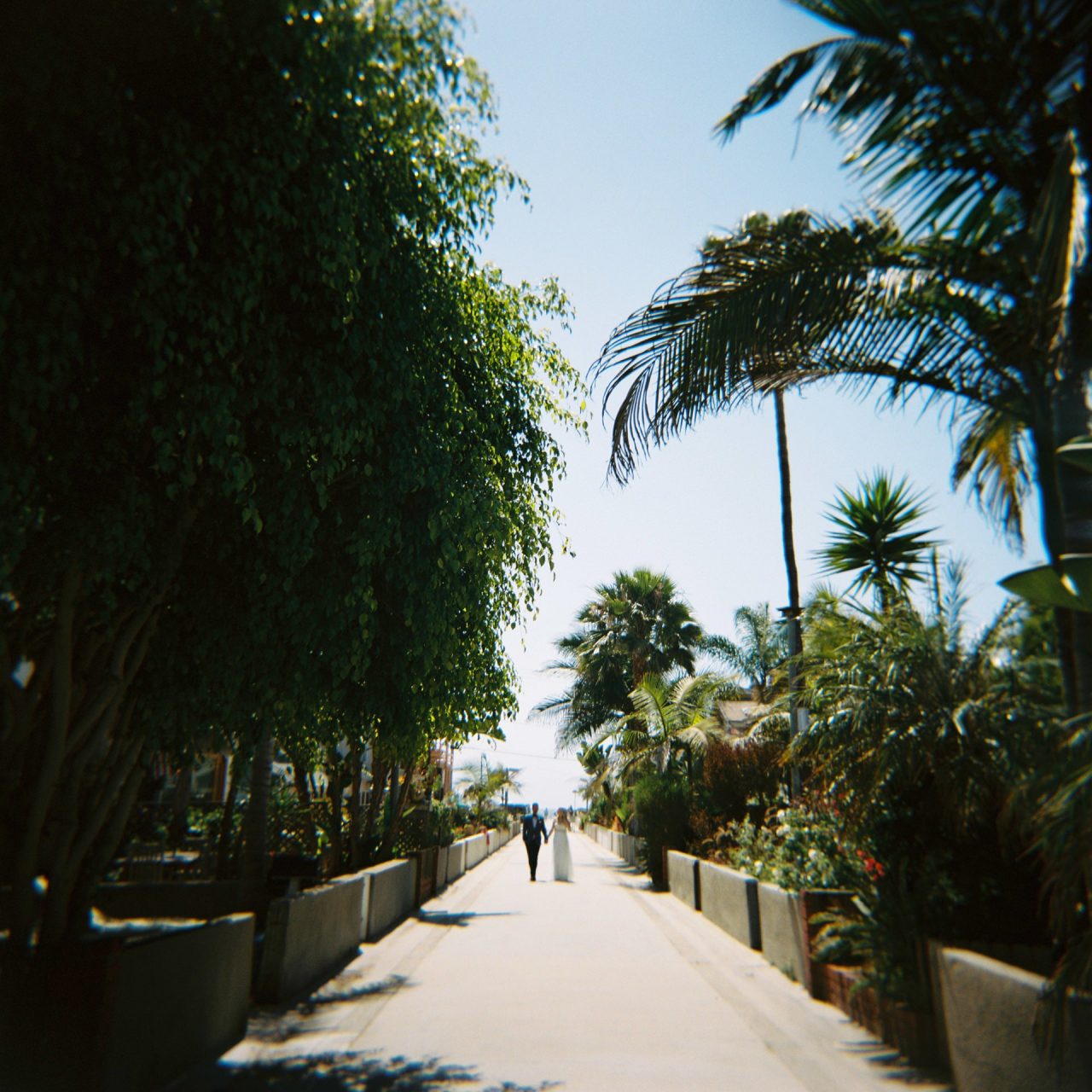 california, holga, wedding
