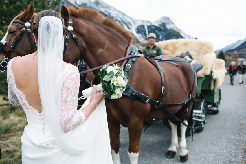 Swiss, Alps, Wedding, Bride Groom